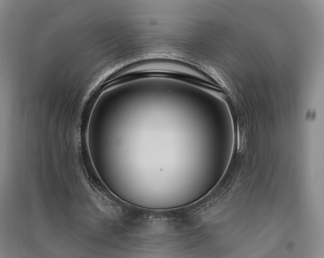 X0000091560531200708171327