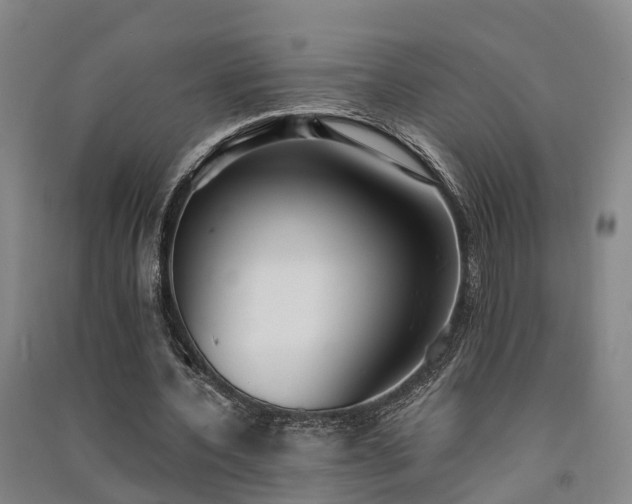 X0000091560532200708171327