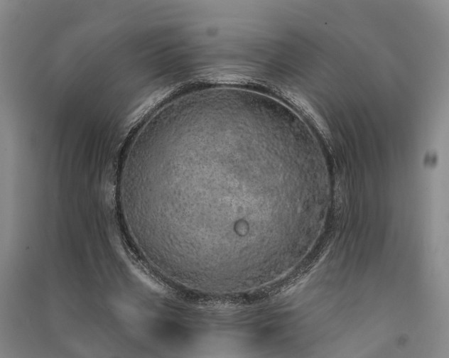 X0000091560533200708171327