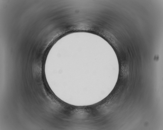 X0000091560534200708171327