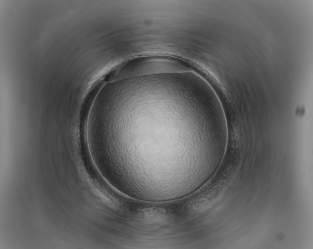 X0000091560535200708171327