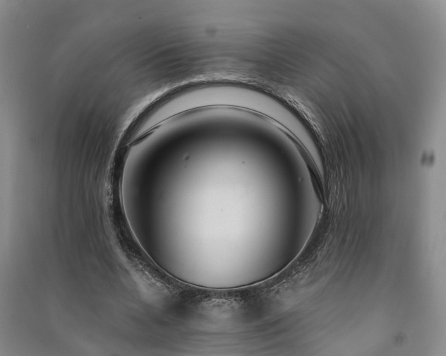 X0000091560536200708171327