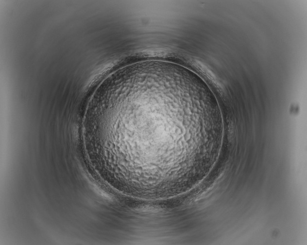 X0000091560537200708171327