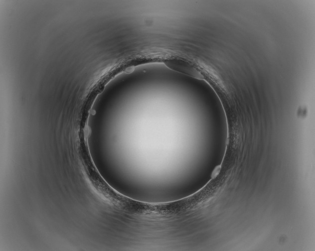 X0000091560538200708171327