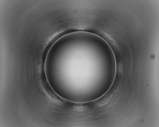 X0000091560540200708171327