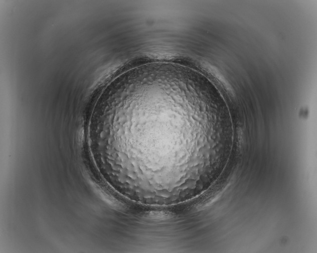 X0000091560541200708171327