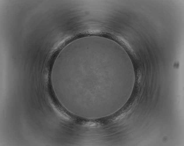 X0000091560542200708171327