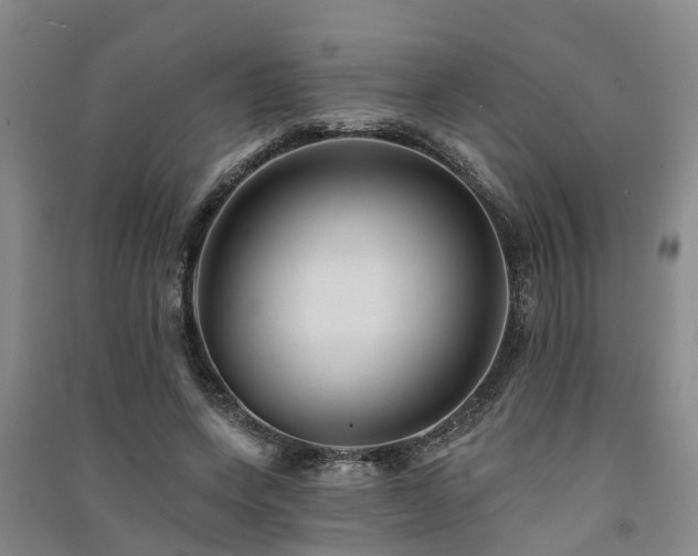 X0000091560543200708171328