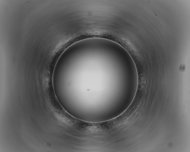 X0000091560544200708171328