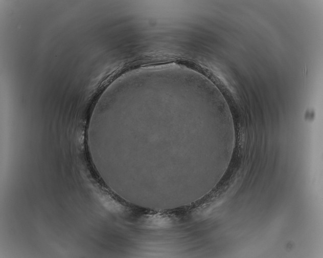 X0000091560545200708171328