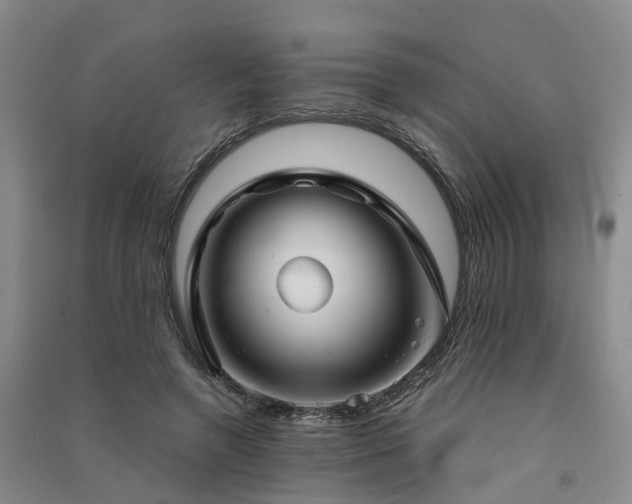 X0000091560546200708171328