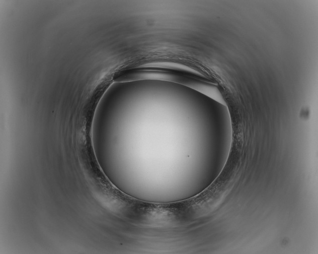 X0000091560547200708171328