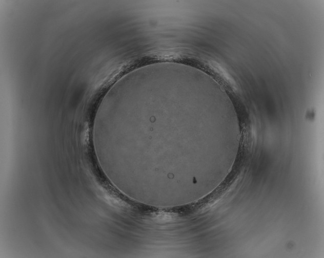 X0000091560549200708171328