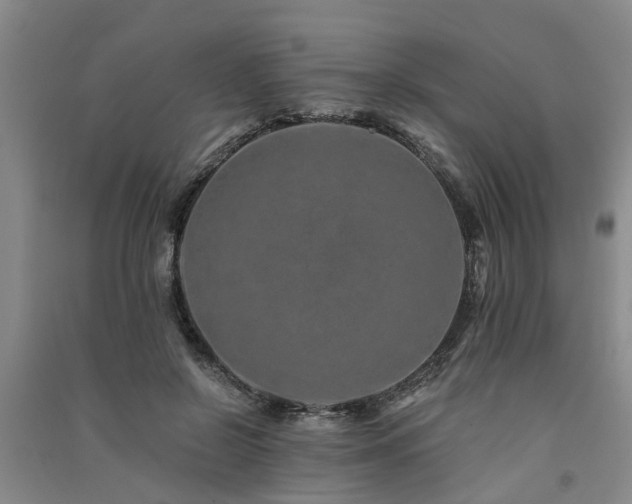 X0000091560550200708171328