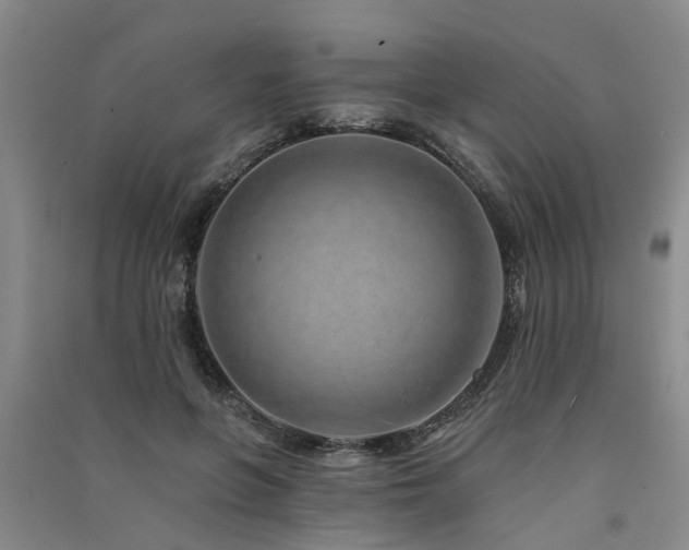 X0000091560551200708171328