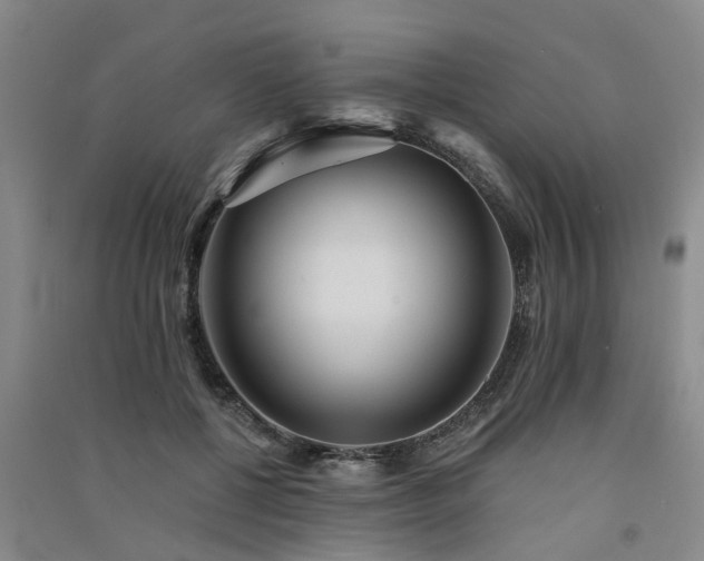 X0000091560552200708171328