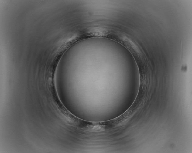 X0000091560553200708171328