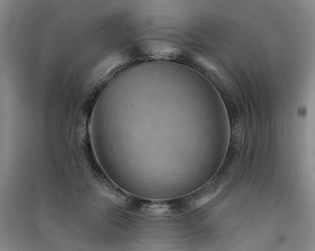 X0000091560554200708171328