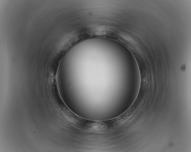 X0000091560555200708171328