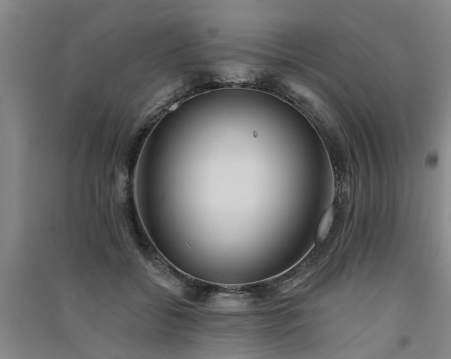 X0000091560556200708171328