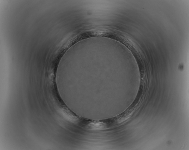 X0000091560557200708171328