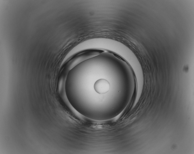 X0000091560558200708171328