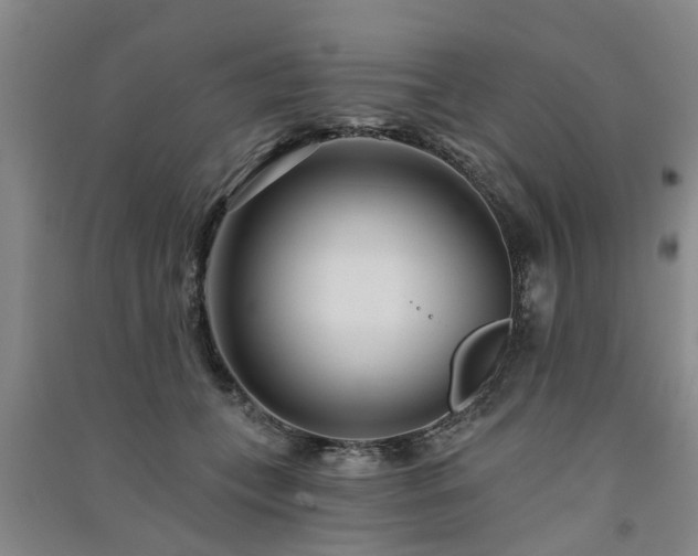 X0000091560559200708171328