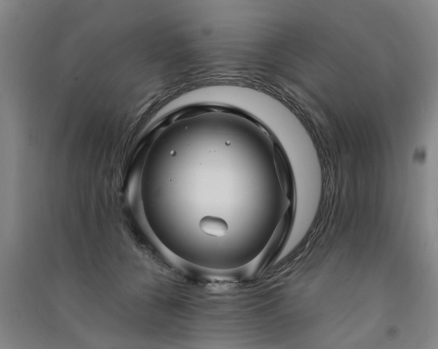 X0000091560560200708171328