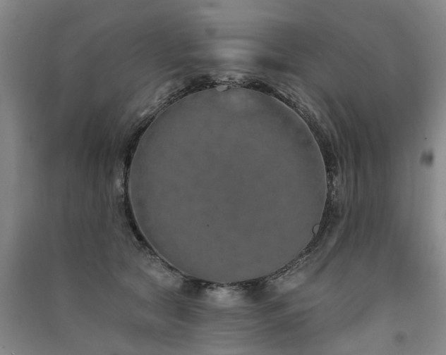 X0000091560561200708171328