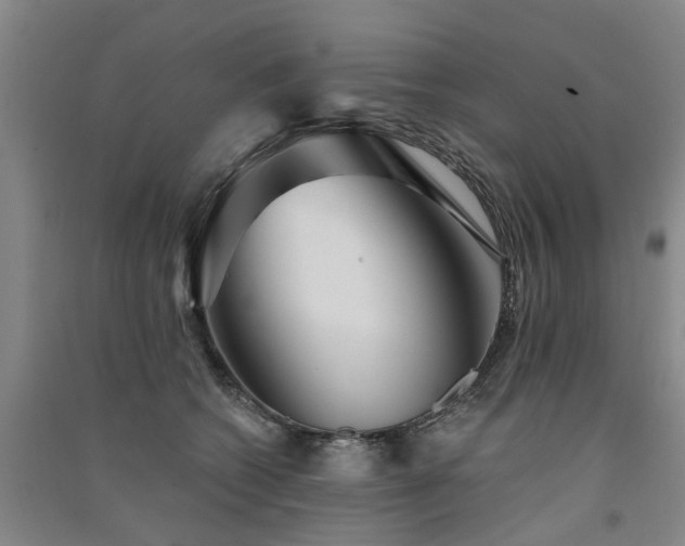 X0000091560562200708171328