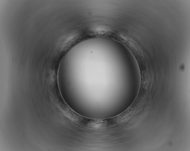 X0000091560563200708171328