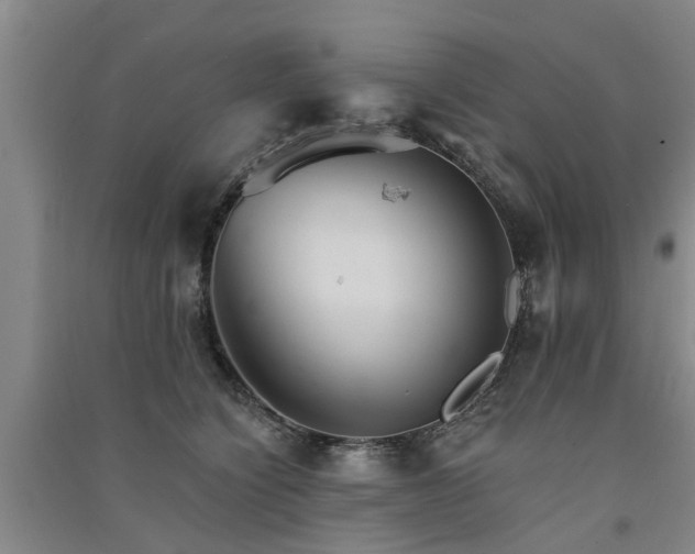 X0000091560564200708171328