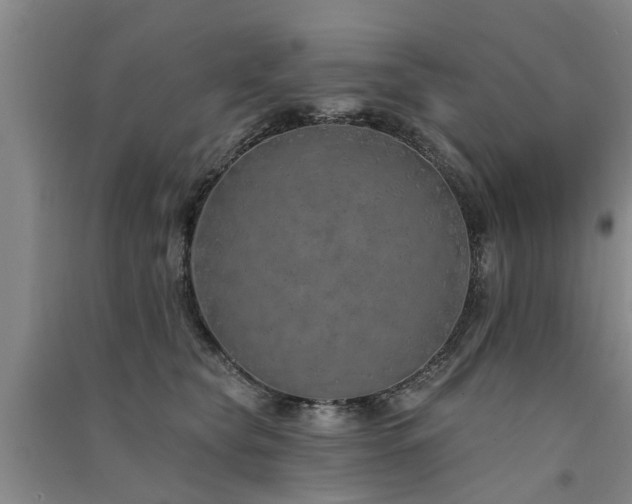 X0000091560565200708171328