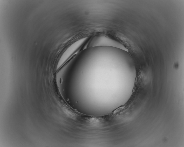 X0000091560566200708171328