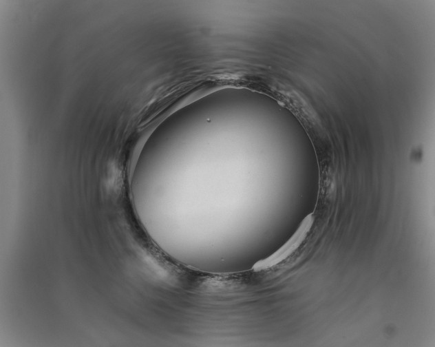 X0000091560568200708171328