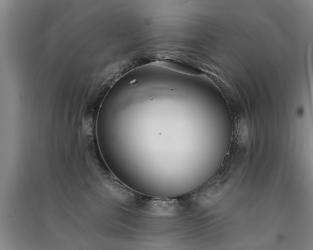 X0000091560571200708171328