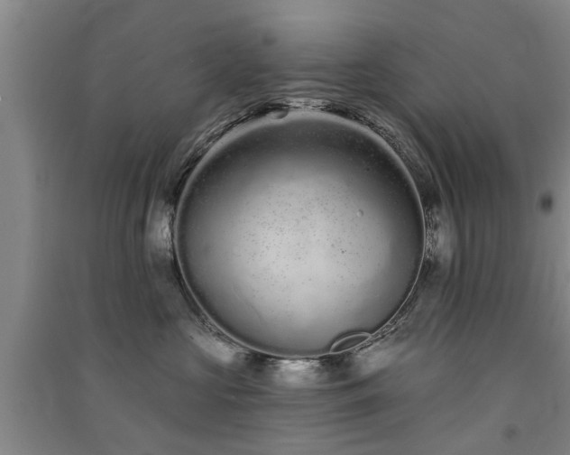 X0000091560573200708171328