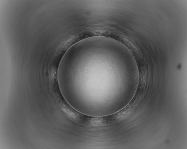 X0000091560574200708171328