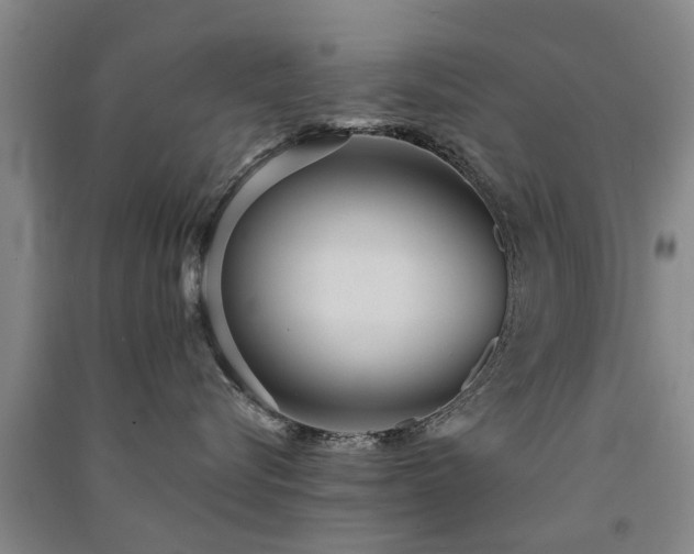 X0000091560576200708171328