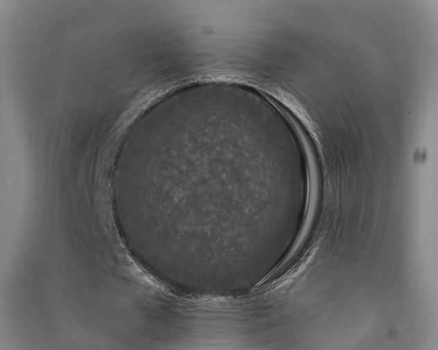 X0000091560577200708171327