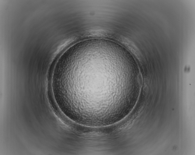 X0000091560578200708171327