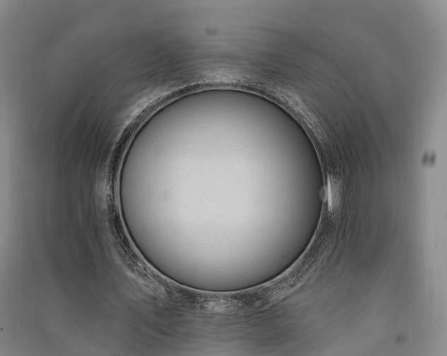 X0000091560579200708171327