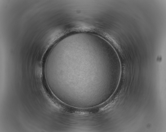 X0000091560582200708171327