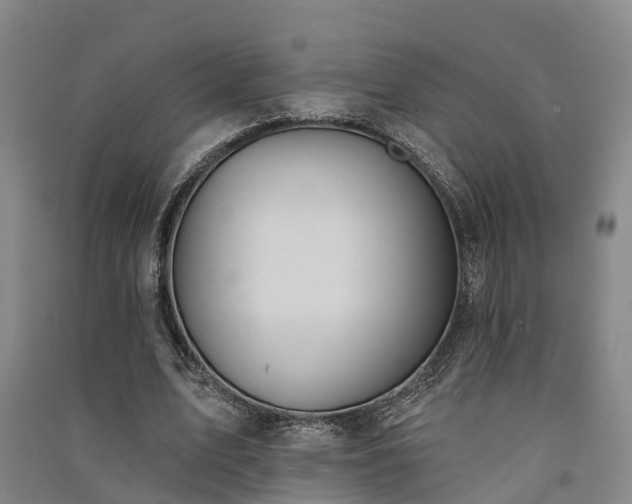 X0000091560583200708171327