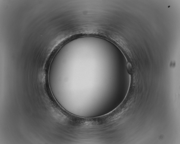 X0000091560584200708171327