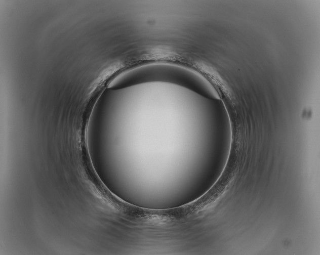 X0000091560585200708171327