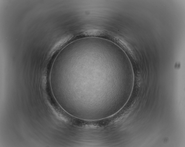 X0000091560586200708171327