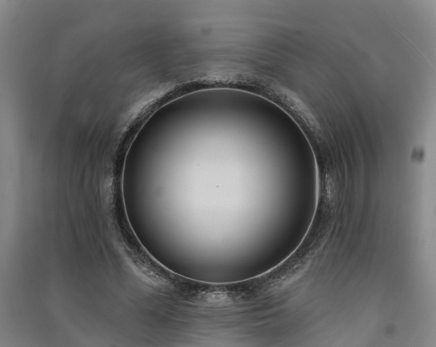 X0000091560588200708171327