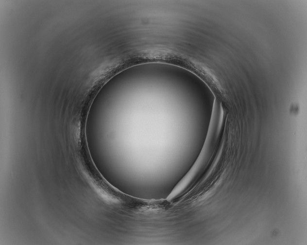 X0000091560589200708171327