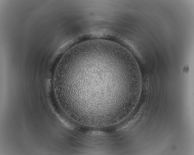 X0000091560590200708171327